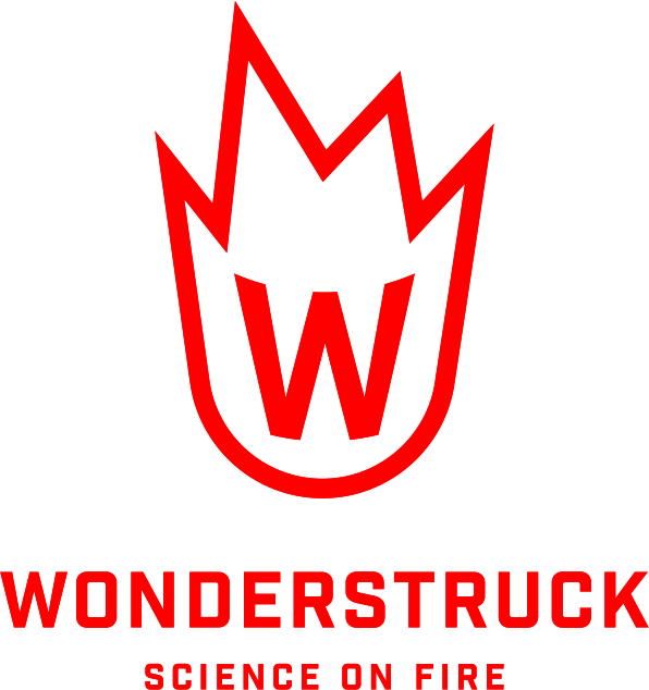 Wonderstruck Ltd
